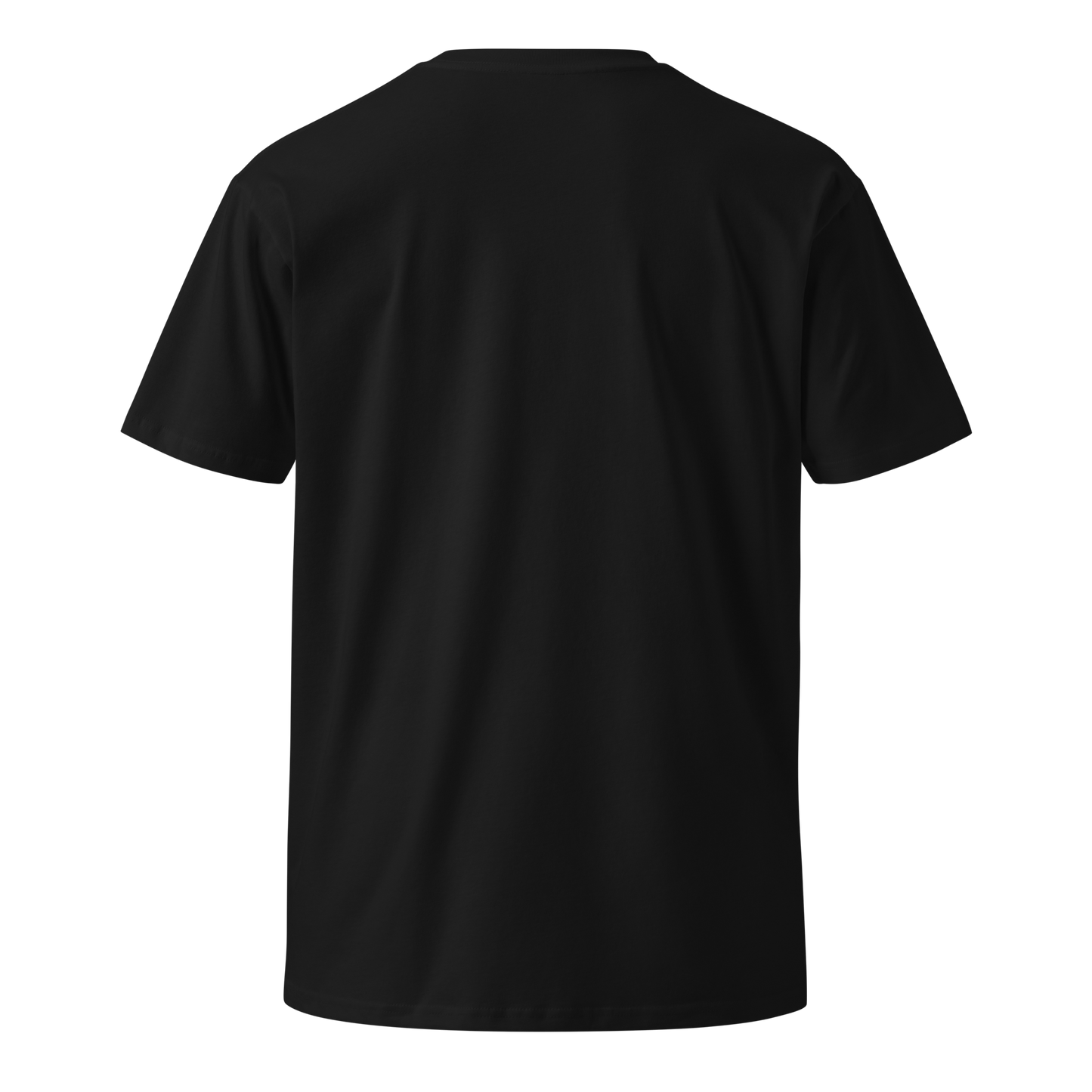 Gold & Silver: The Original Cryptocurrency Women’s Premium T-Shirt (Front)