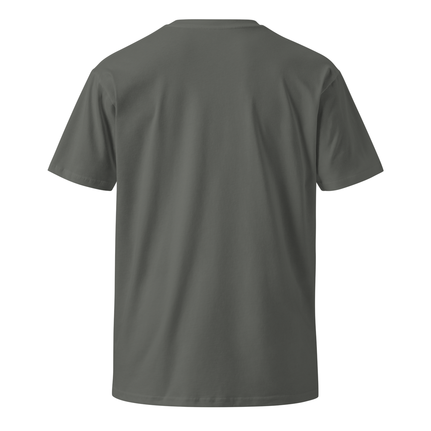 Gold & Silver: The Original Cryptocurrency Women’s Premium T-Shirt (Front)