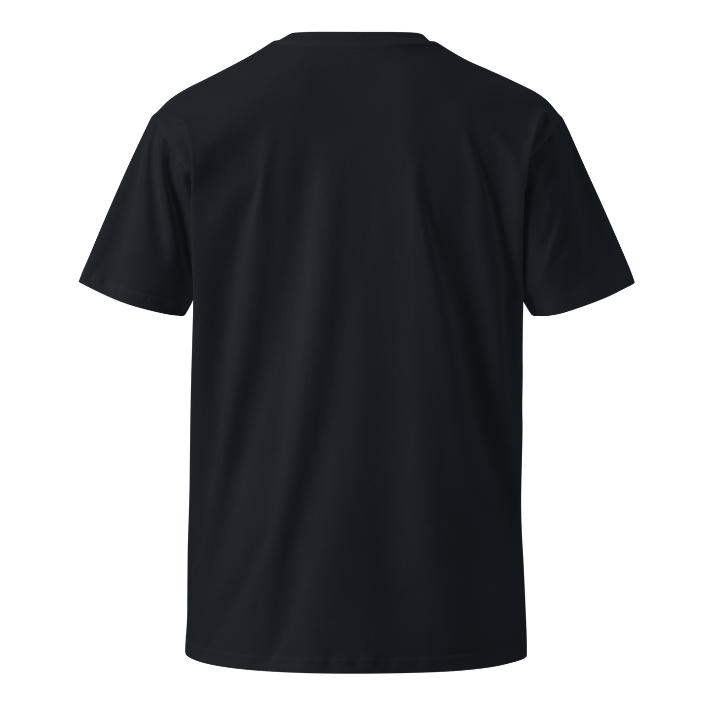 Gold & Silver: The Original Cryptocurrency Women’s Premium T-Shirt (Front)